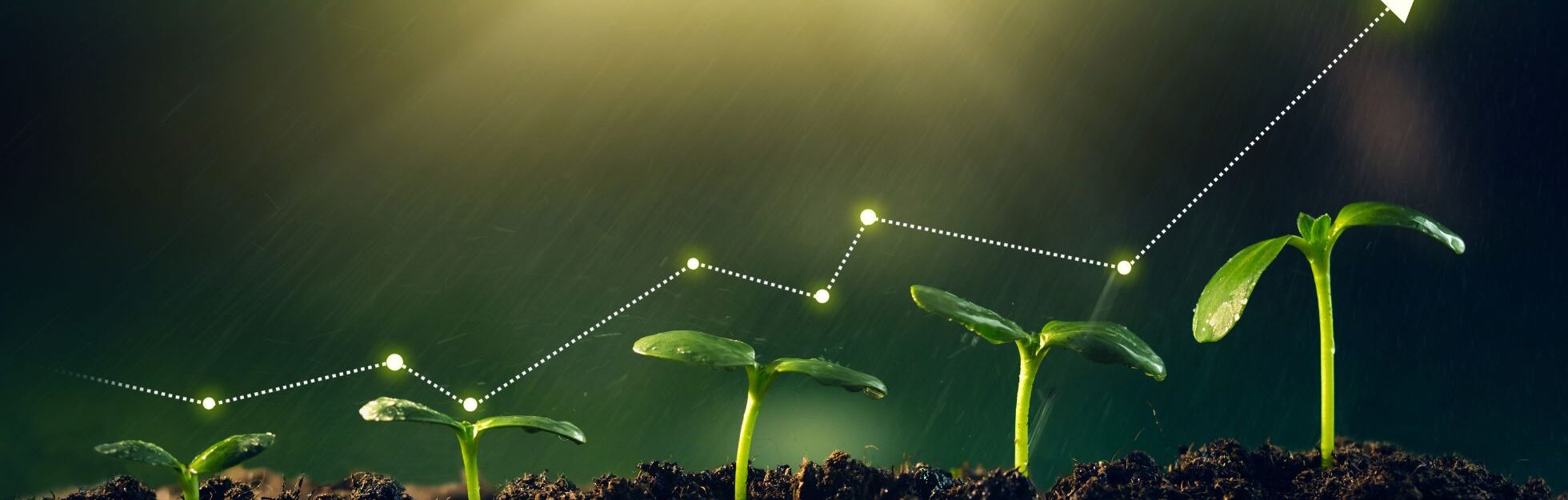 スタートアップ投資