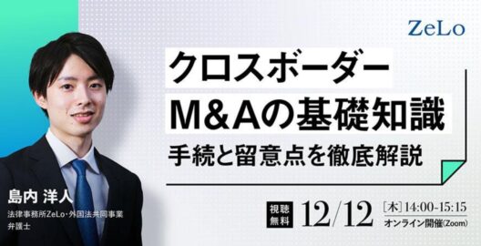 クロスボーダーM&Aの基礎知識 手続方法と留意点を徹底解説