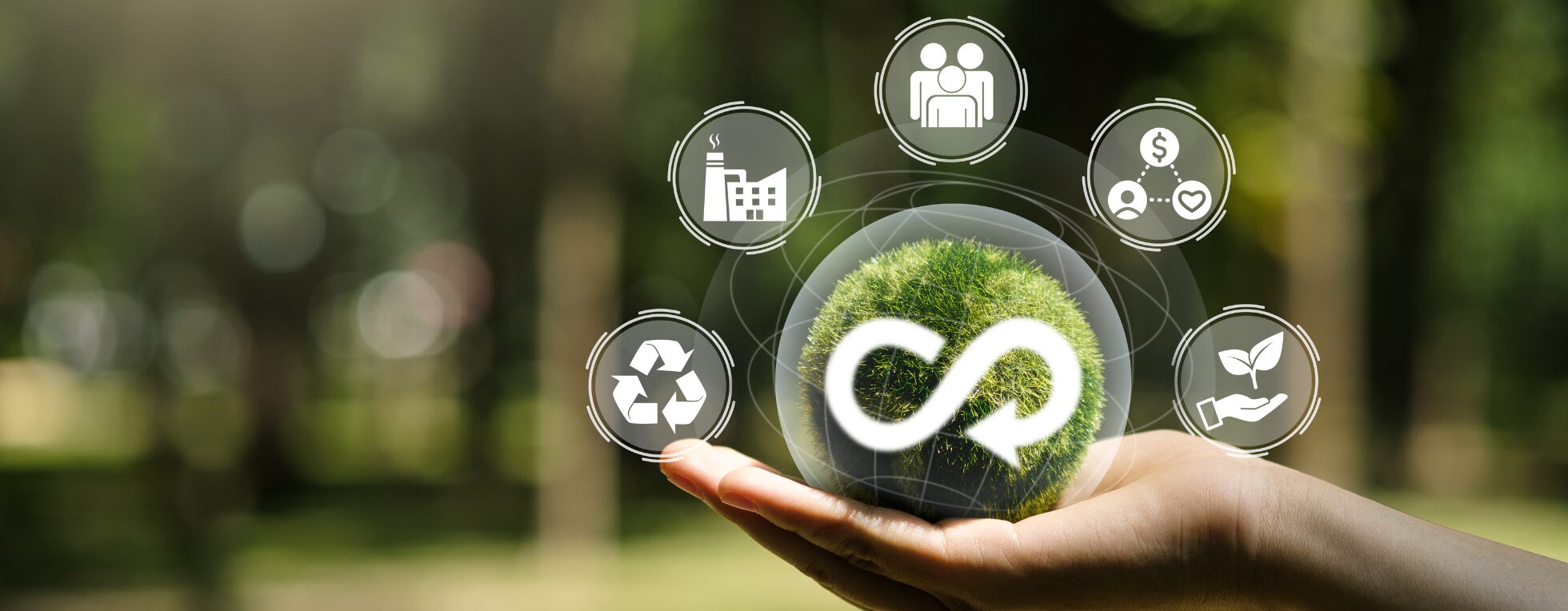 Sustainability